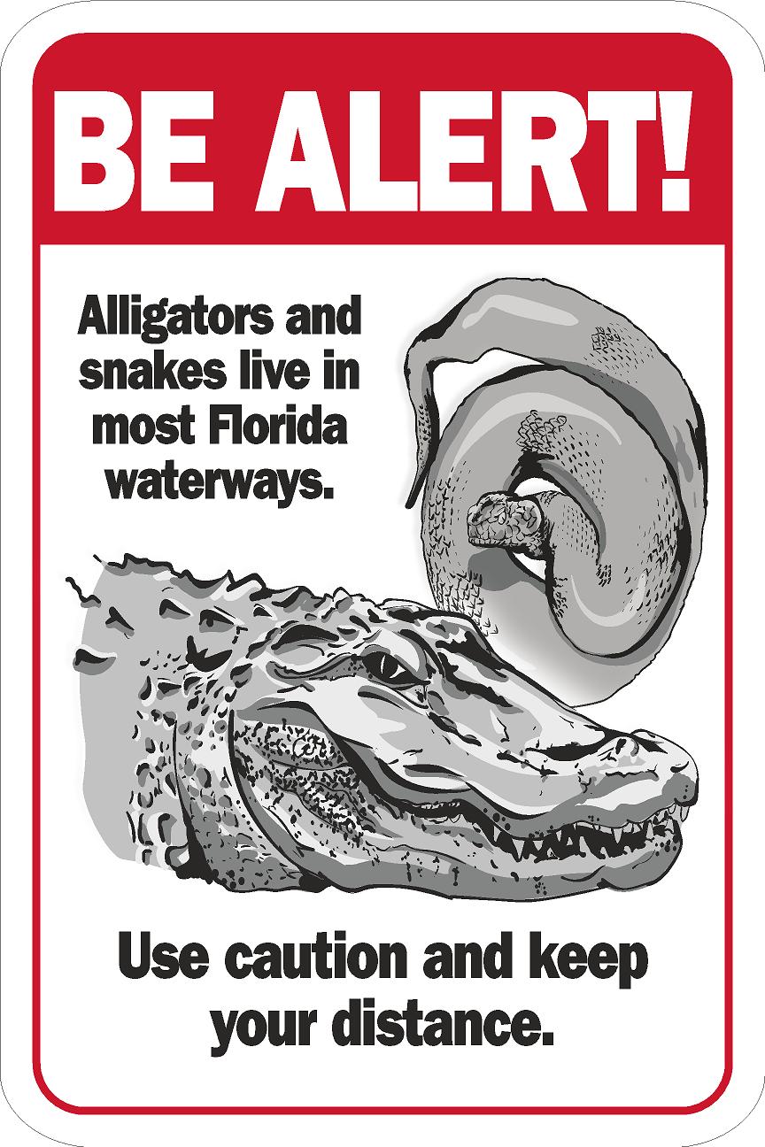 Be Alert - Alligators & Snakes – Lakeshore Management